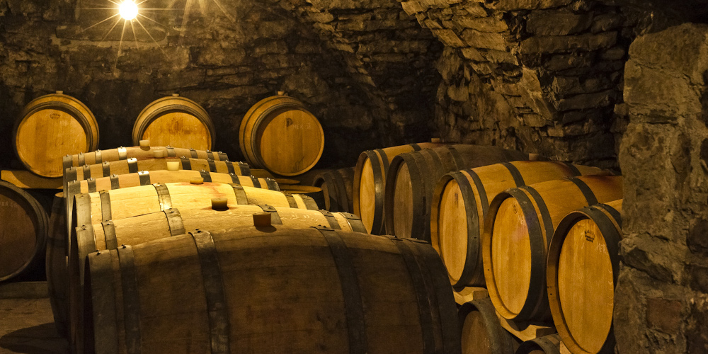 Dugustacije vrhunskih vin na posestvu Vina Krapež