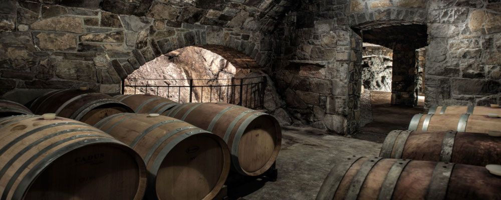 Dugustacije vrhunskih vin na posestvu Vina Poljšak