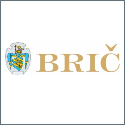Vina Brič logo